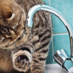 Два райони Одеси залишились без води через аварійне відключення електроенергії