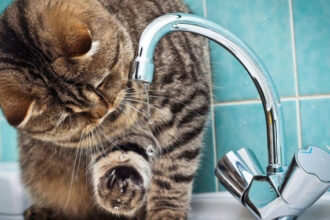 Два райони Одеси залишились без води через аварійне відключення електроенергії