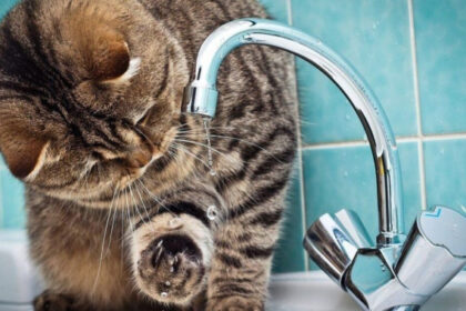 Два райони Одеси залишились без води через аварійне відключення електроенергії