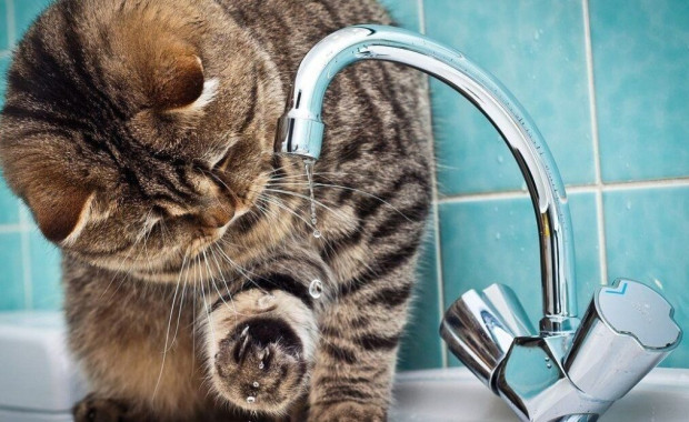 Два райони Одеси залишились без води через аварійне відключення електроенергії