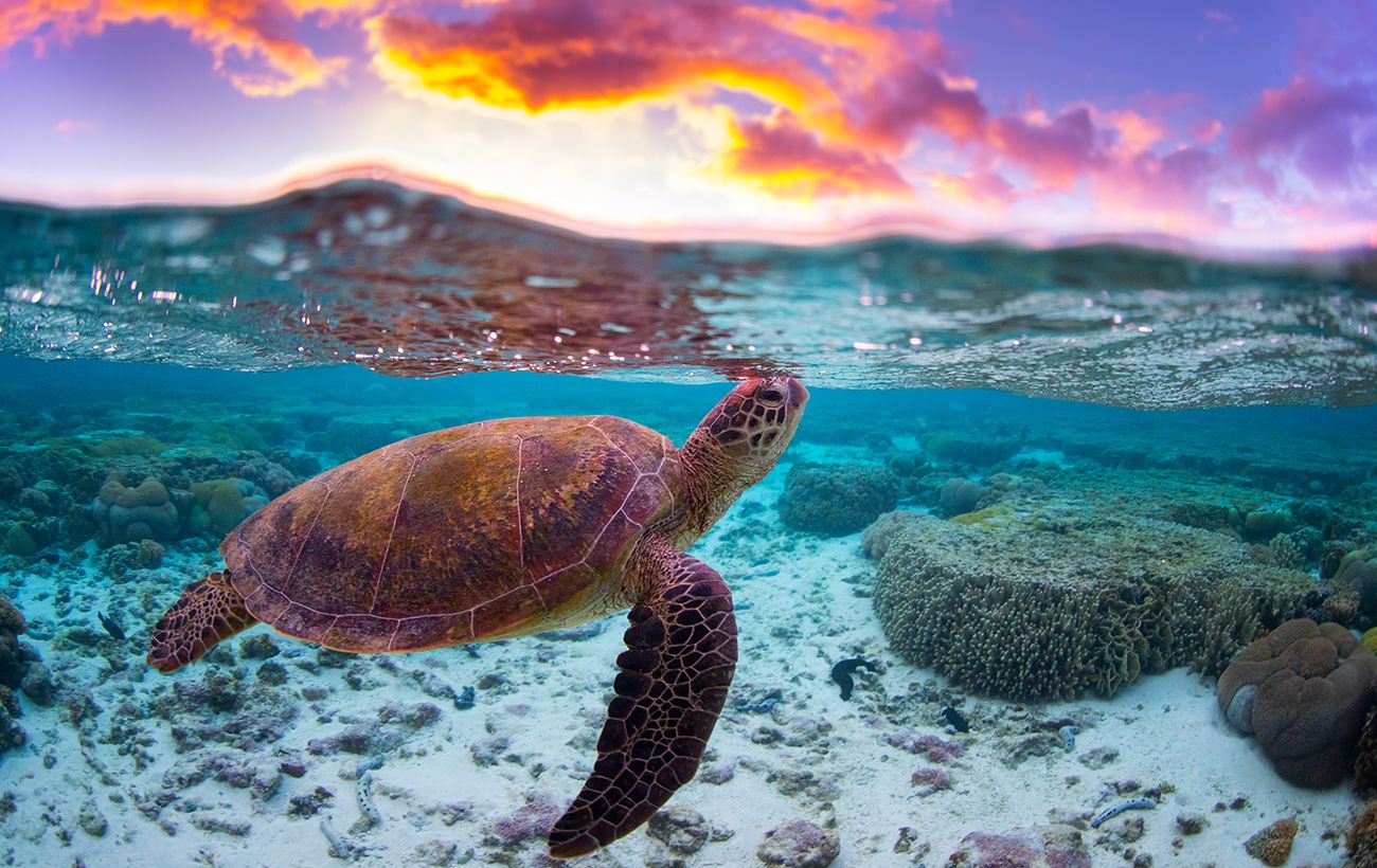 Незворотні зміни унікальних місць планети за двадцять років