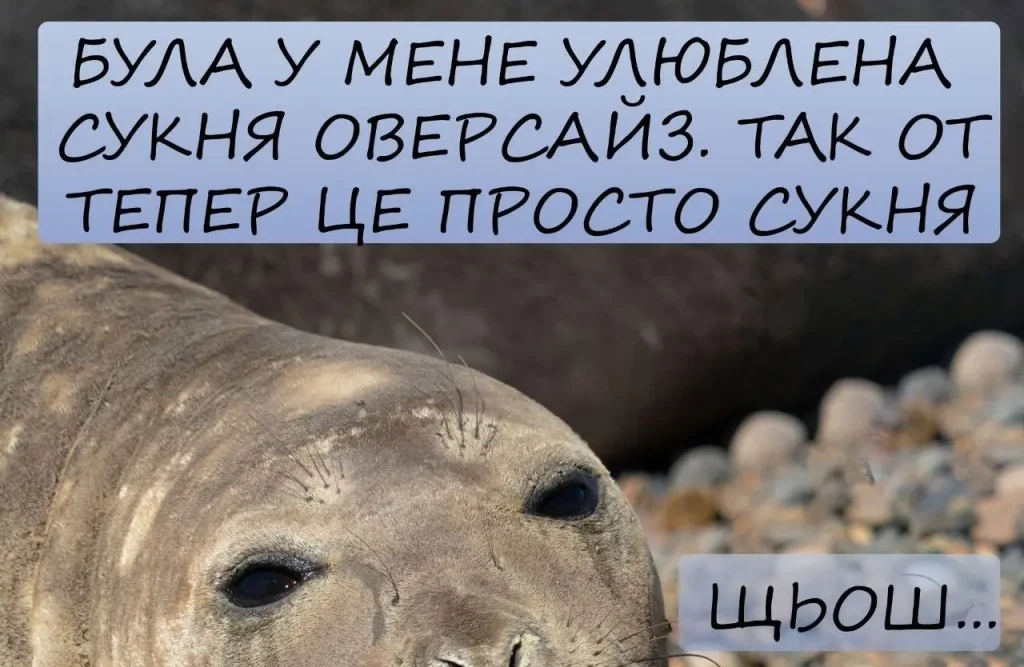 В Одесі відлунює гумор: п'ятниця як сигнал для вихідних
