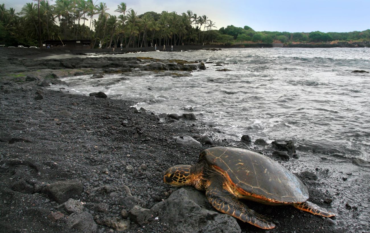 Де знайти плажі з піском неймовірних кольорів