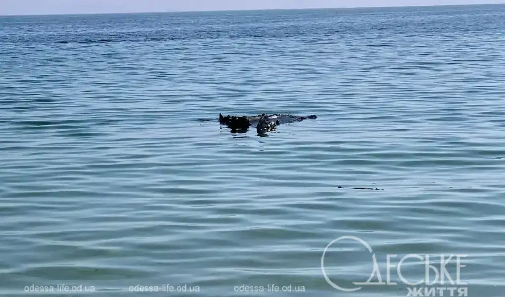 Уламки дрона на Ланжероні: після нічної атаки