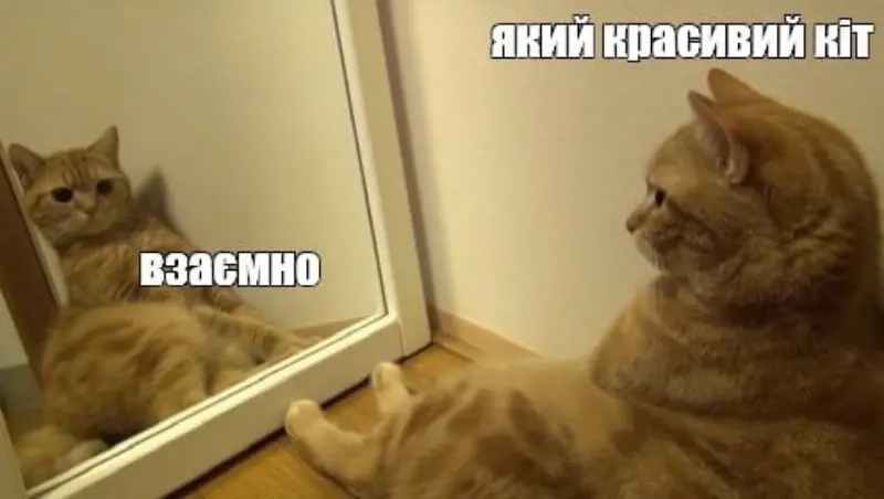 Одеський гумор: ранкова доза настрою біля моря