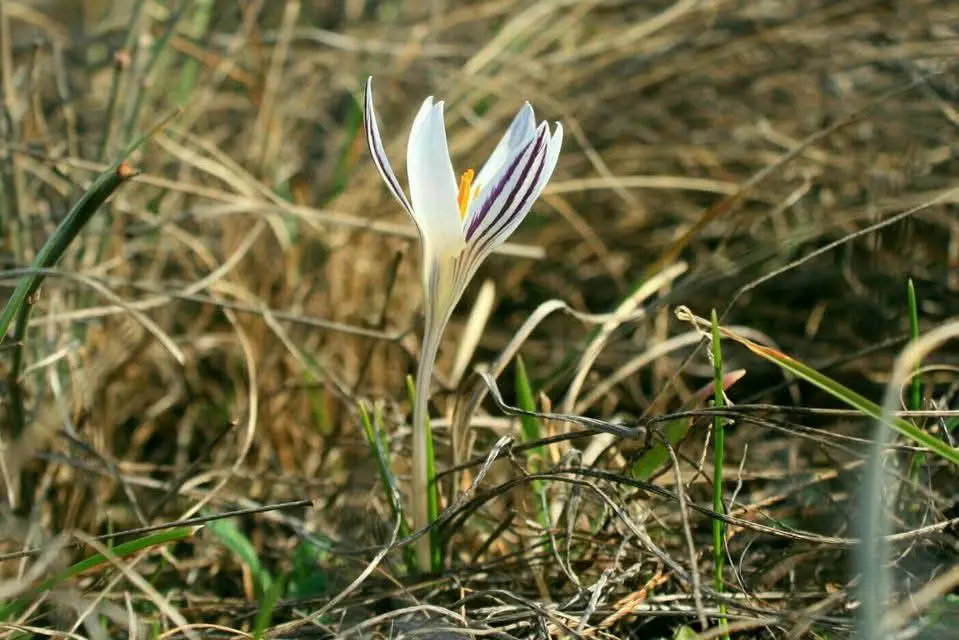 Якою буде погода в Одесі на 8 березня