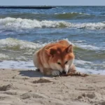 Тепла весняна погода в Одесі: прогноз на 18 березня