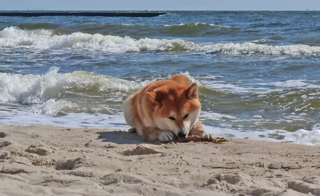 Тепла весняна погода в Одесі: прогноз на 18 березня