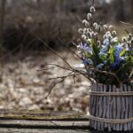 Погода в Одесі: день ідеальний для прогулянок