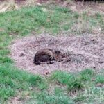 Березнева погода в Одесі: чого очікувати 23 березня