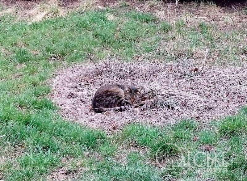 Березнева погода в Одесі: чого очікувати 23 березня