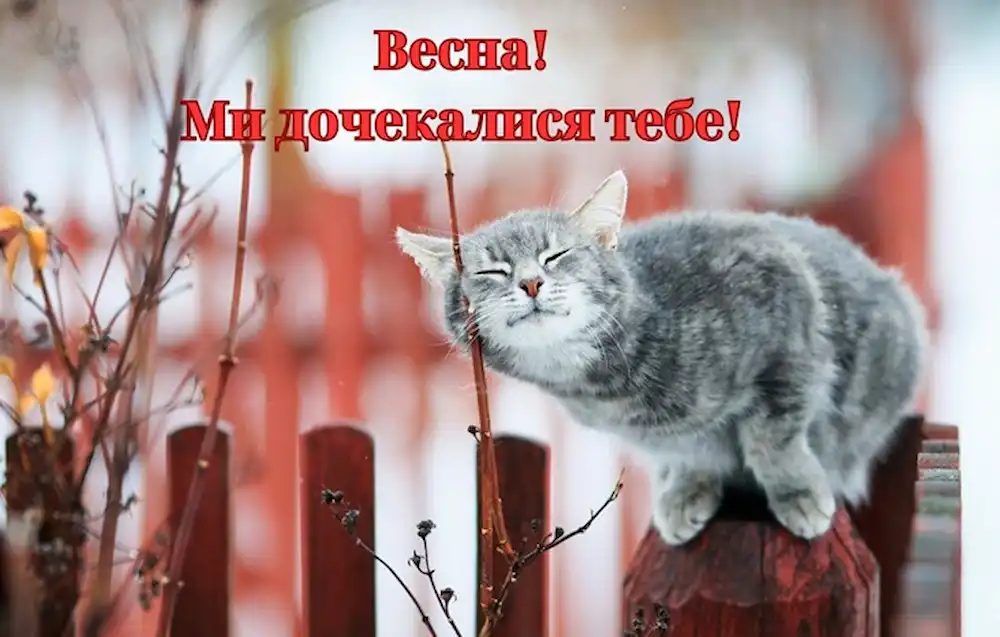 Одеський гумор: весняні нотки та усмішки