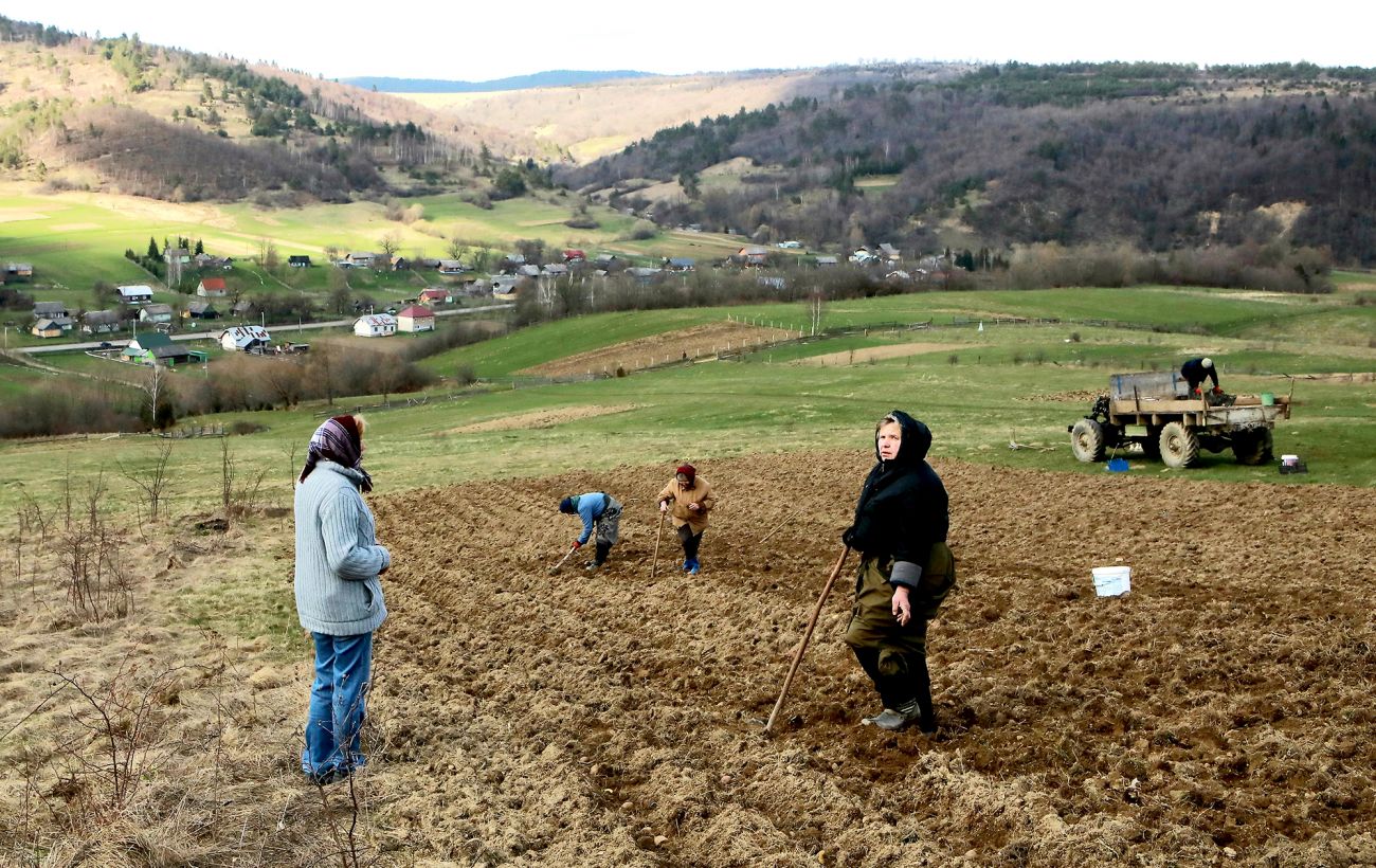 Посівний календар для одеситів на березень 2026 року