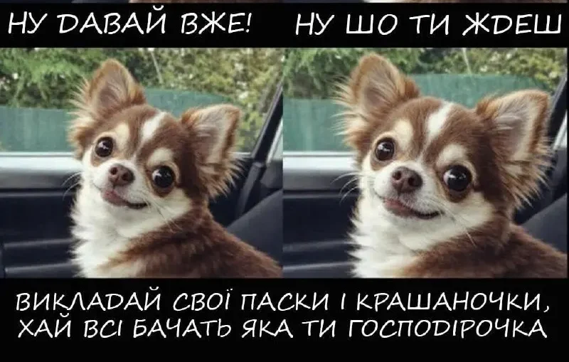 В очікуванні свят: передвеликодня атмосфера в Одесі