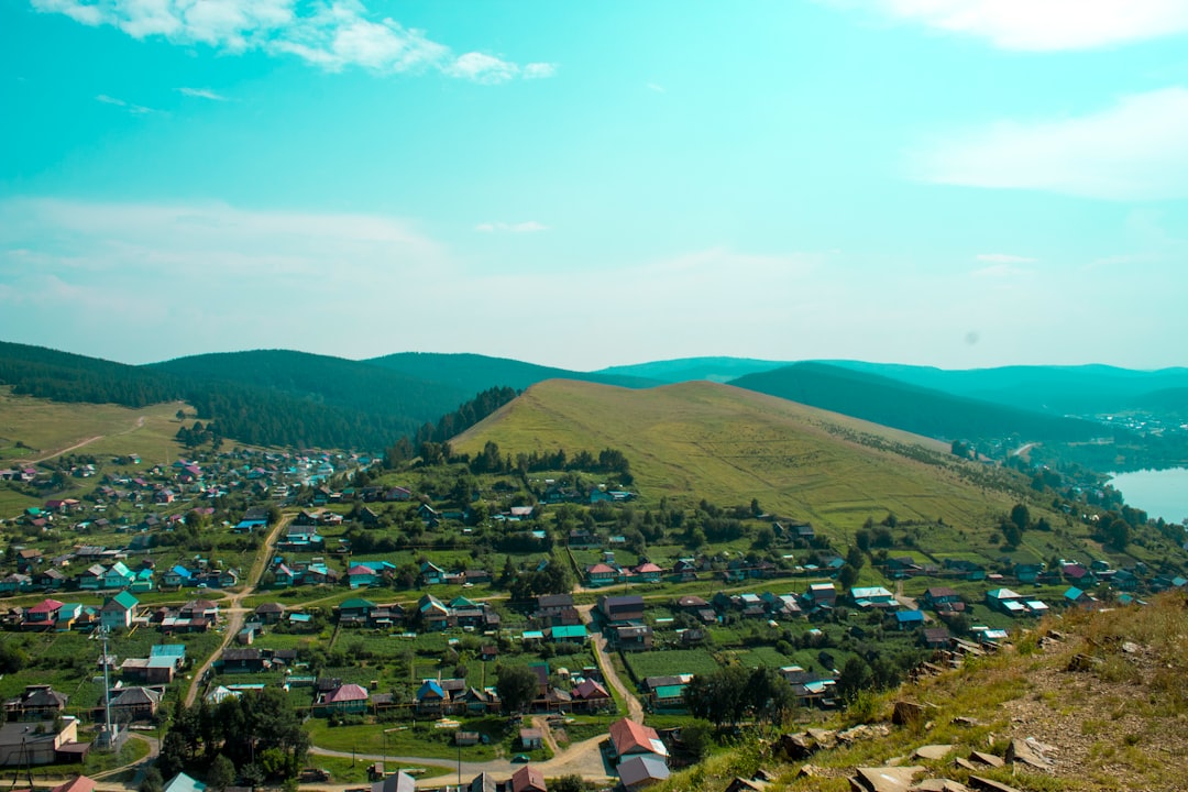 Вибух у Буджацькій громаді: постраждала тварина