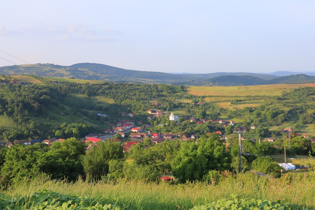 Відновлення історичних дверей будинку Зеліковського в Одесі